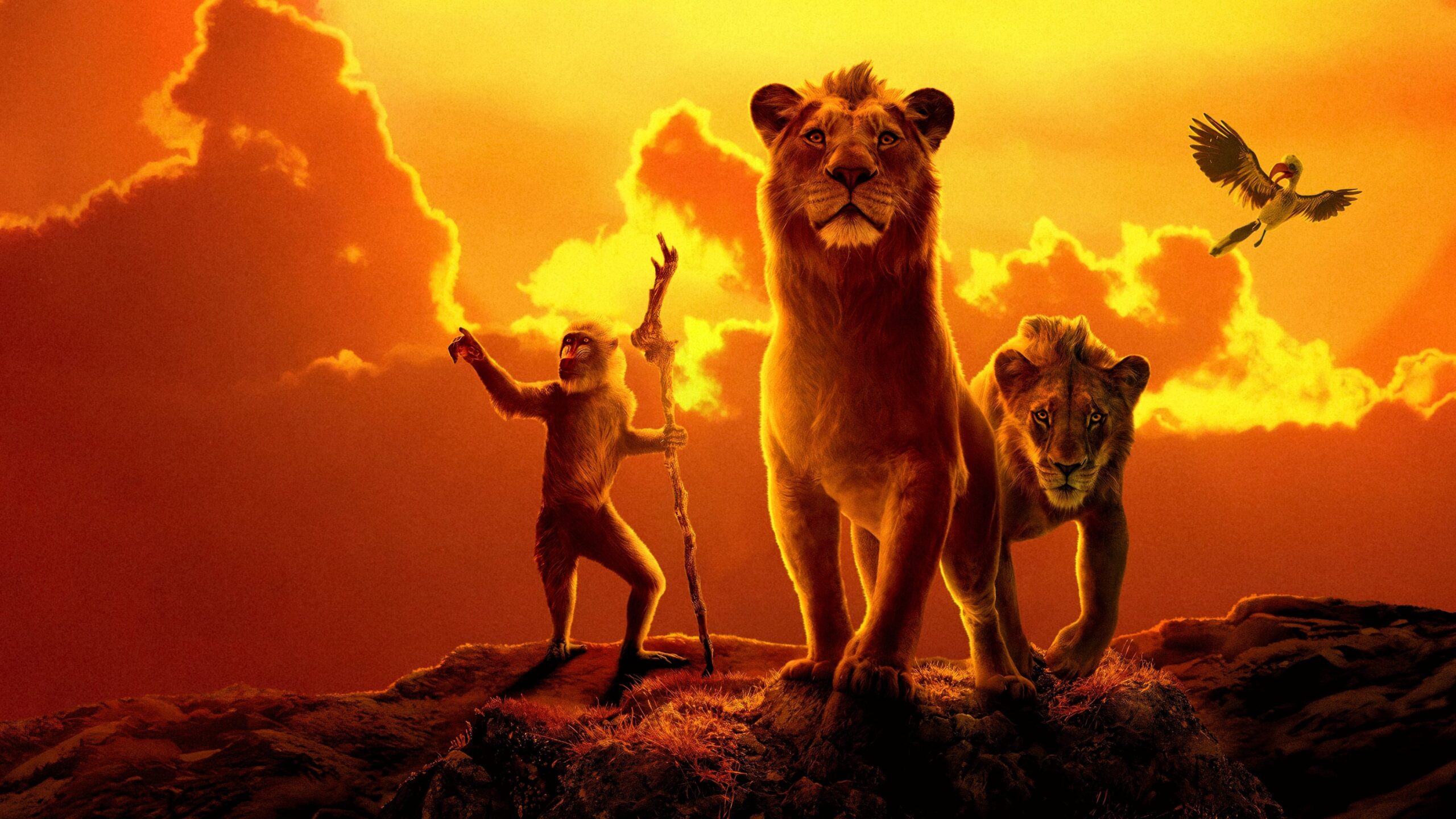 wallpapersden.com_k-poster-of-mufasa-the-lion-king_3840x2160